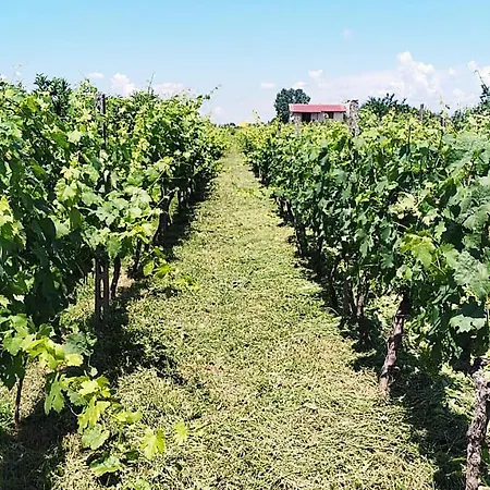 ベッド・アンド・ブレックファスト Casa La Pieve ベラト