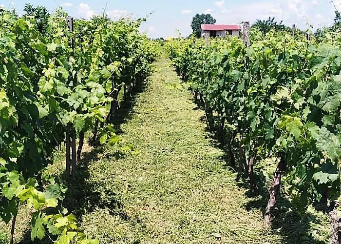 Nocleg ze śniadaniem Casa La Pieve Berat